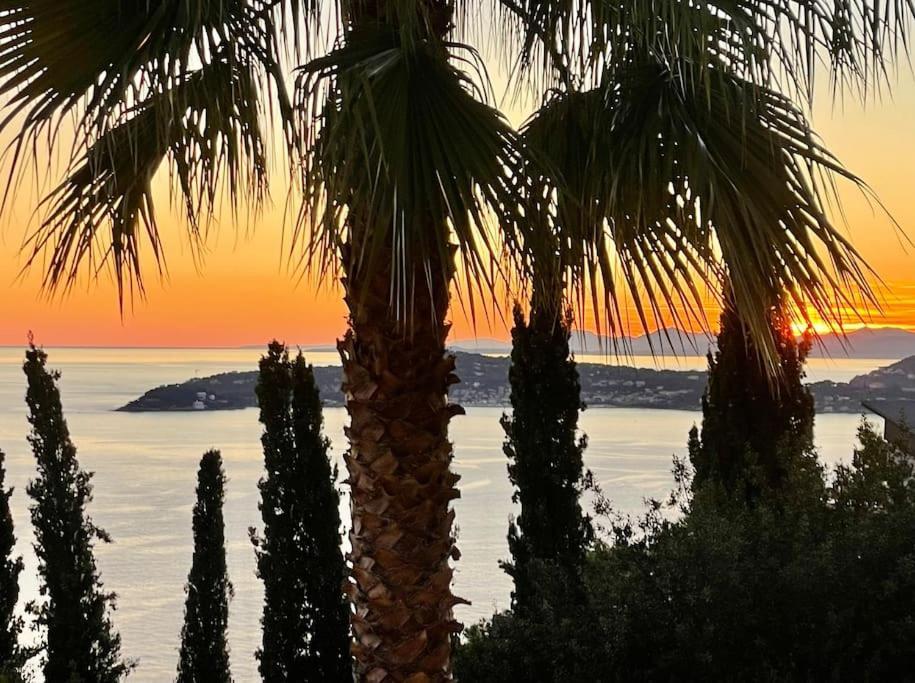 2 Pieces Vue Proche Monaco Apartment