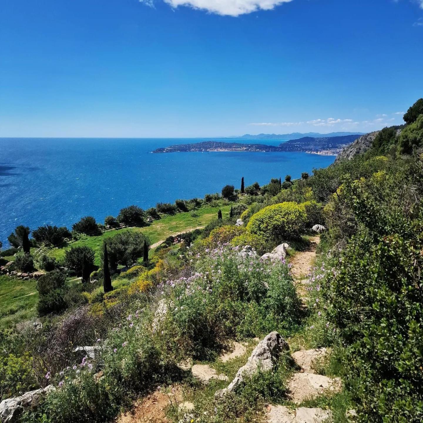 2 Pieces Vue Proche Monaco *